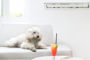 ductless ac